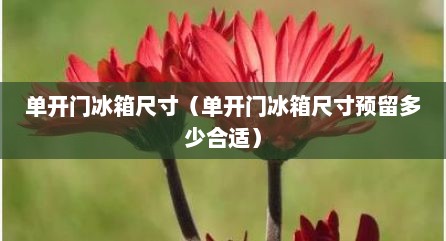 单开门冰箱尺寸（单开门冰箱尺寸预留多少合适）