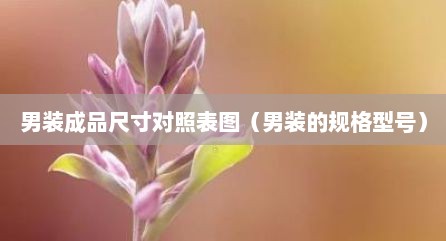 男装成品尺寸对照表图（男装的规格型号）