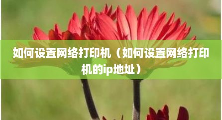 如何设置网络打印机（如何设置网络打印机的ip地址）