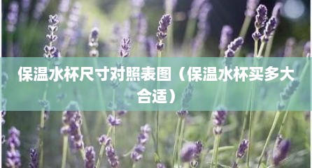 保温水杯尺寸对照表图（保温水杯买多大合适）