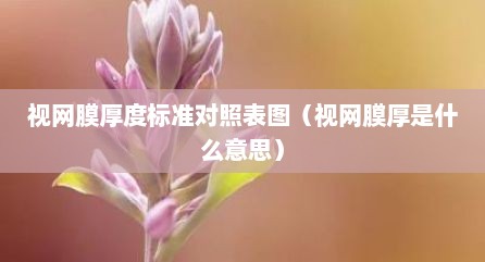 视网膜厚度标准对照表图（视网膜厚是什么意思）