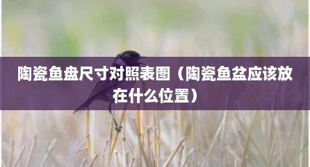 陶瓷鱼盘尺寸对照表图（陶瓷鱼盆应该放在什么位置）