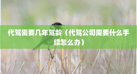 代驾需要几年驾龄（代驾公司需要什么手续怎么办）