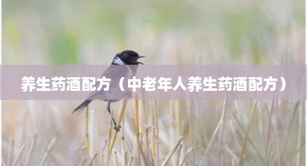养生药酒配方（中老年人养生药酒配方）