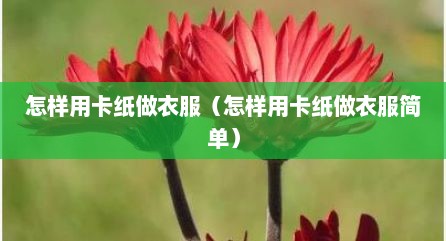 怎样用卡纸做衣服（怎样用卡纸做衣服简单）