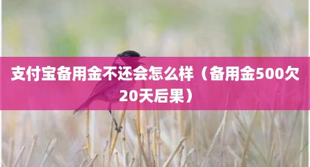 支付宝备用金不还会怎么样（备用金500欠20天后果）