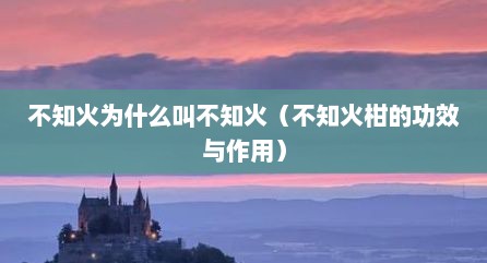 不知火为什么叫不知火（不知火柑的功效与作用）