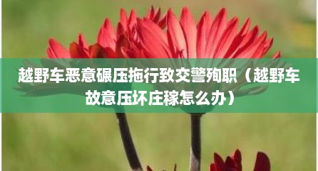 越野车恶意碾压拖行致交警殉职（越野车故意压坏庄稼怎么办）