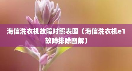 海信洗衣机故障对照表图（海信洗衣机e1故障排除图解）