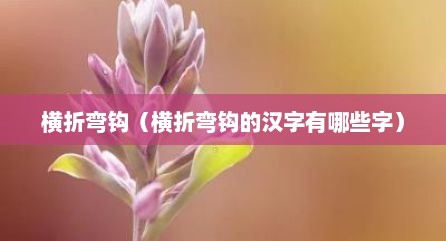 横折弯钩（横折弯钩的汉字有哪些字）