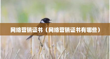 网络营销证书（网络营销证书有哪些）