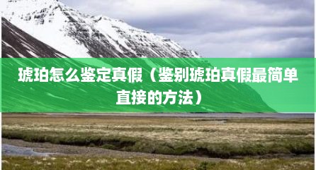 琥珀怎么鉴定真假（鉴别琥珀真假最简单直接的方法）