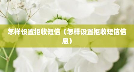 怎样设置拒收短信（怎样设置拒收短信信息）
