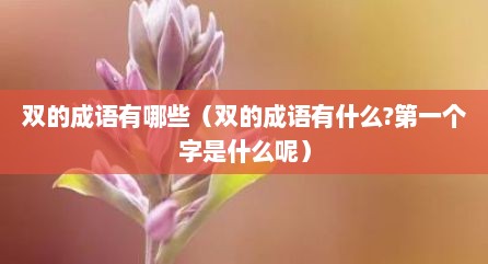 双的成语有哪些（双的成语有什么?第一个字是什么呢）