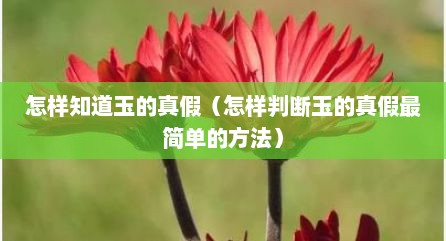 怎样知道玉的真假（怎样判断玉的真假最简单的方法）