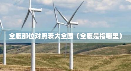 全腹部位对照表大全图（全腹是指哪里）