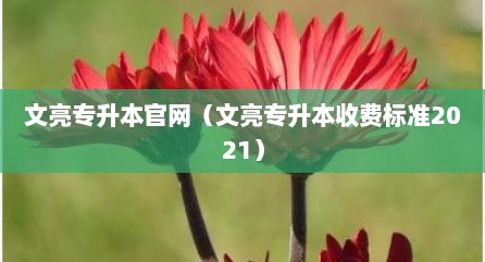文亮专升本官网（文亮专升本收费标准2021）