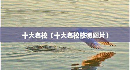 十大名校（十大名校校徽图片）