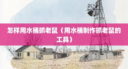 怎样用水桶抓老鼠（用水桶制作抓老鼠的工具）