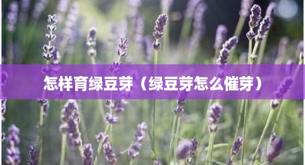 怎样育绿豆芽（绿豆芽怎么催芽）