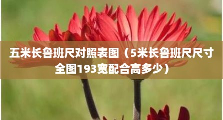 五米长鲁班尺对照表图（5米长鲁班尺尺寸全图193宽配合高多少）