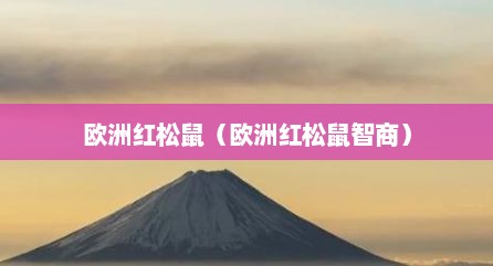 欧洲红松鼠（欧洲红松鼠智商）