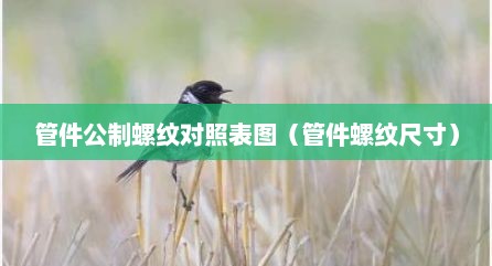管件公制螺纹对照表图（管件螺纹尺寸）