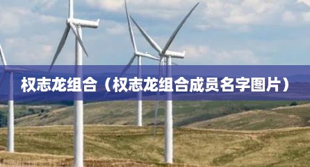 权志龙组合（权志龙组合成员名字图片）