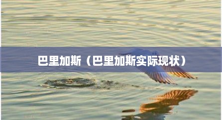 巴里加斯（巴里加斯实际现状）