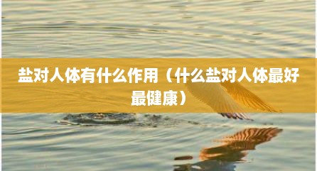 盐对人体有什么作用（什么盐对人体最好最健康）