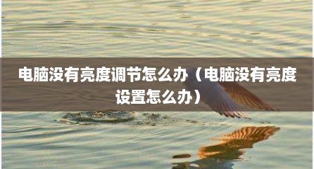 电脑没有亮度调节怎么办（电脑没有亮度设置怎么办）