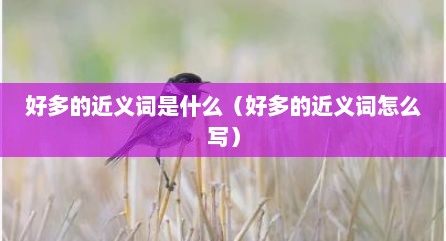 好多的近义词是什么（好多的近义词怎么写）