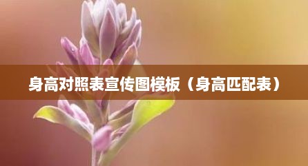 身高对照表宣传图模板（身高匹配表）