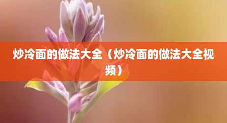 炒冷面的做法大全（炒冷面的做法大全视频）