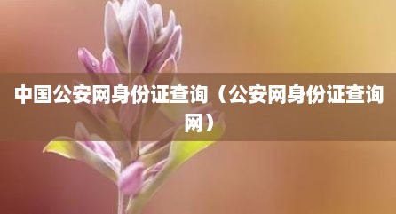 中国公安网身份证查询（公安网身份证查询网）