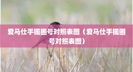 爱马仕手镯圈号对照表图（爱马仕手镯圈号对照表图）