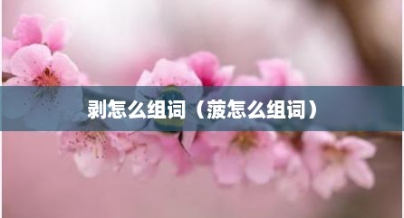 剥怎么组词（菠怎么组词）