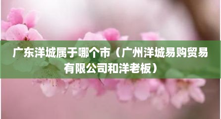 广东洋城属于哪个市（广州洋城易购贸易有限公司和洋老板）