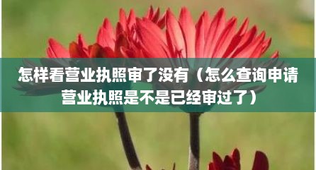 怎样看营业执照审了没有（怎么查询申请营业执照是不是已经审过了）