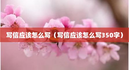 写信应该怎么写（写信应该怎么写350字）