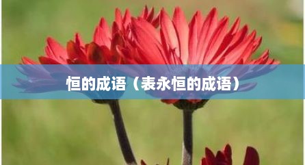 恒的成语（表永恒的成语）