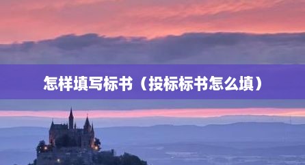 怎样填写标书（投标标书怎么填）