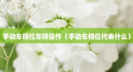 手动车档位怎样操作（手动车档位代表什么）