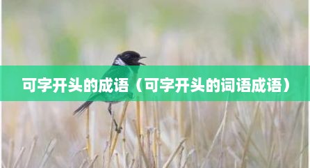 可字开头的成语（可字开头的词语成语）