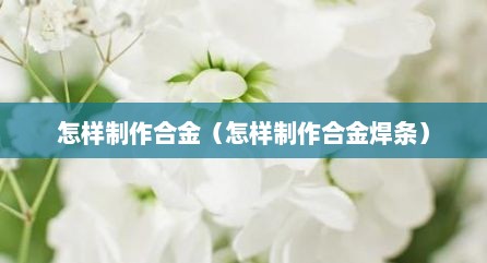 怎样制作合金（怎样制作合金焊条）