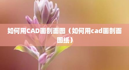 如何用CAD画剖面图（如何用cad画剖面图纸）