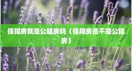 保障房就是公租房吗（保障房是不是公租房）