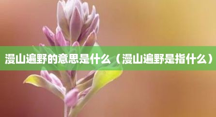 漫山遍野的意思是什么（漫山遍野是指什么）