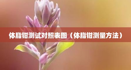 体脂钳测试对照表图（体脂钳测量方法）