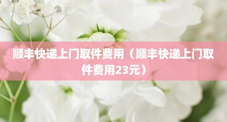 顺丰快递上门取件费用（顺丰快递上门取件费用23元）